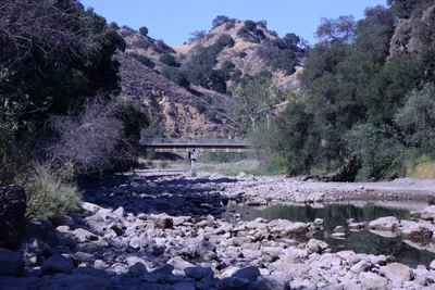 DSC_2033 (Large).JPG